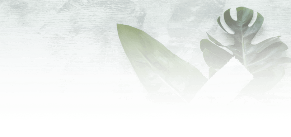 XtrazCon Technology Pvt Ltd